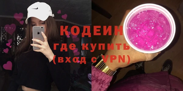 гидра Корсаков