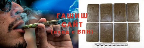 гидра Корсаков