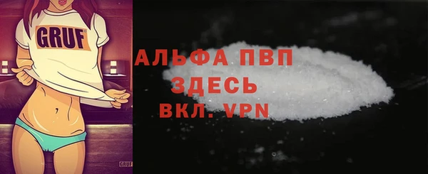 гидра Корсаков