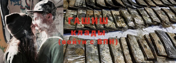 гидра Корсаков