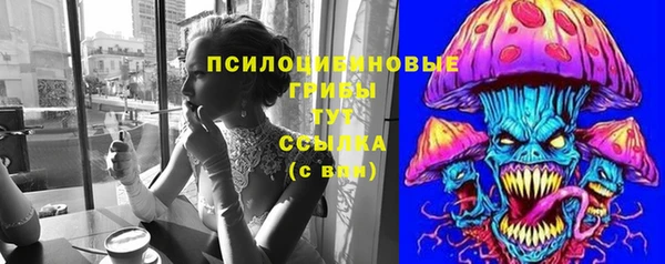 гидра Корсаков
