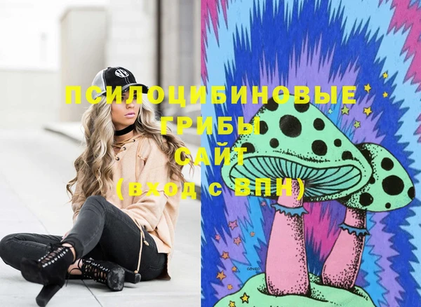 ГАЛЛЮЦИНОГЕННЫЕ ГРИБЫ Коряжма