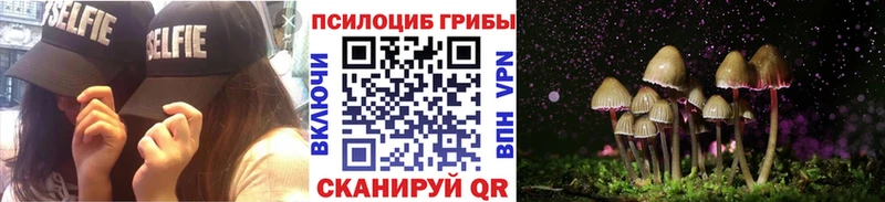Купить где  Тимашёвск  Псилоцибиновые грибы ЛСД 